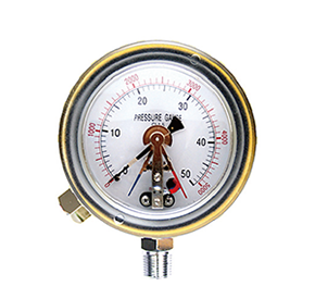 Explosion pretected pressure gauge with contact